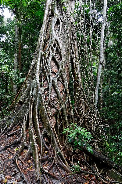 2007 05 14 Fraser Island 153_DXO.jpg